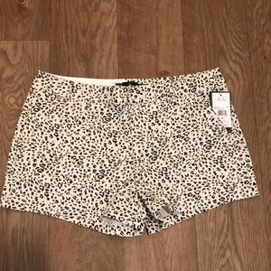 ☀️VOLCOM - FROCHICHIE SHORT - ANIMAL☀️